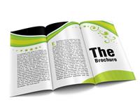 Cách thiết kế Brochure chuyên nghiệp ( P 1 ) 